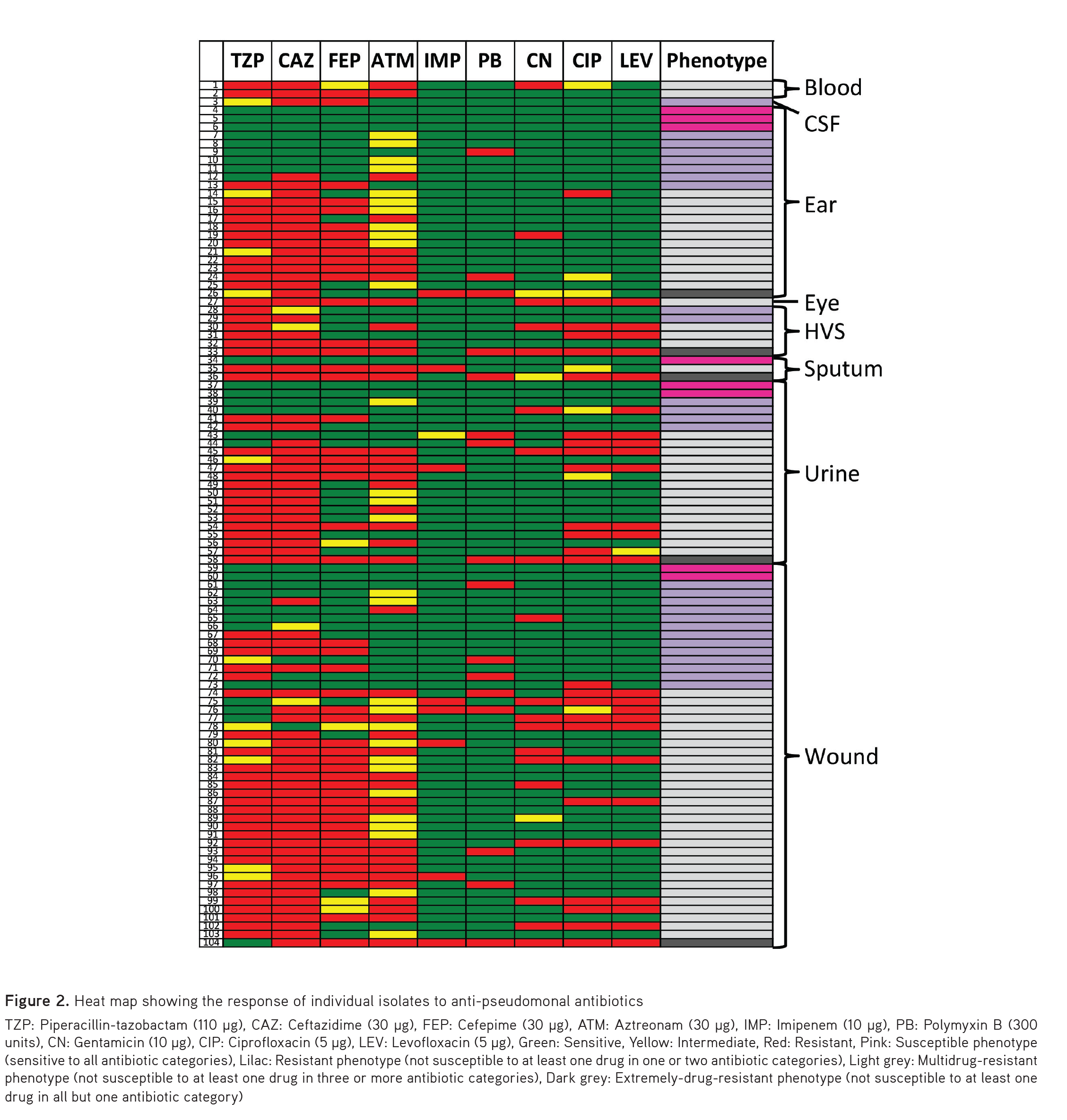 MultidrugResistant and Extremely DrugResistant Pseudomonas aeruginosa