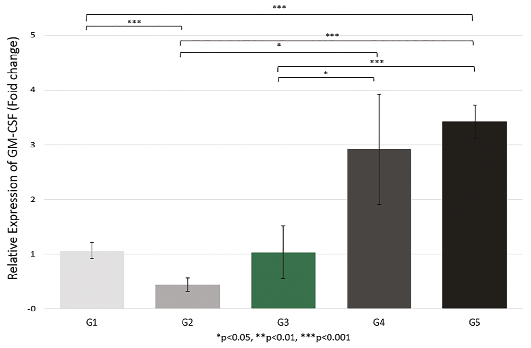 Evaluation of Hypoxia-Conditioned MSC Exosomes' Effects on GM-CSF