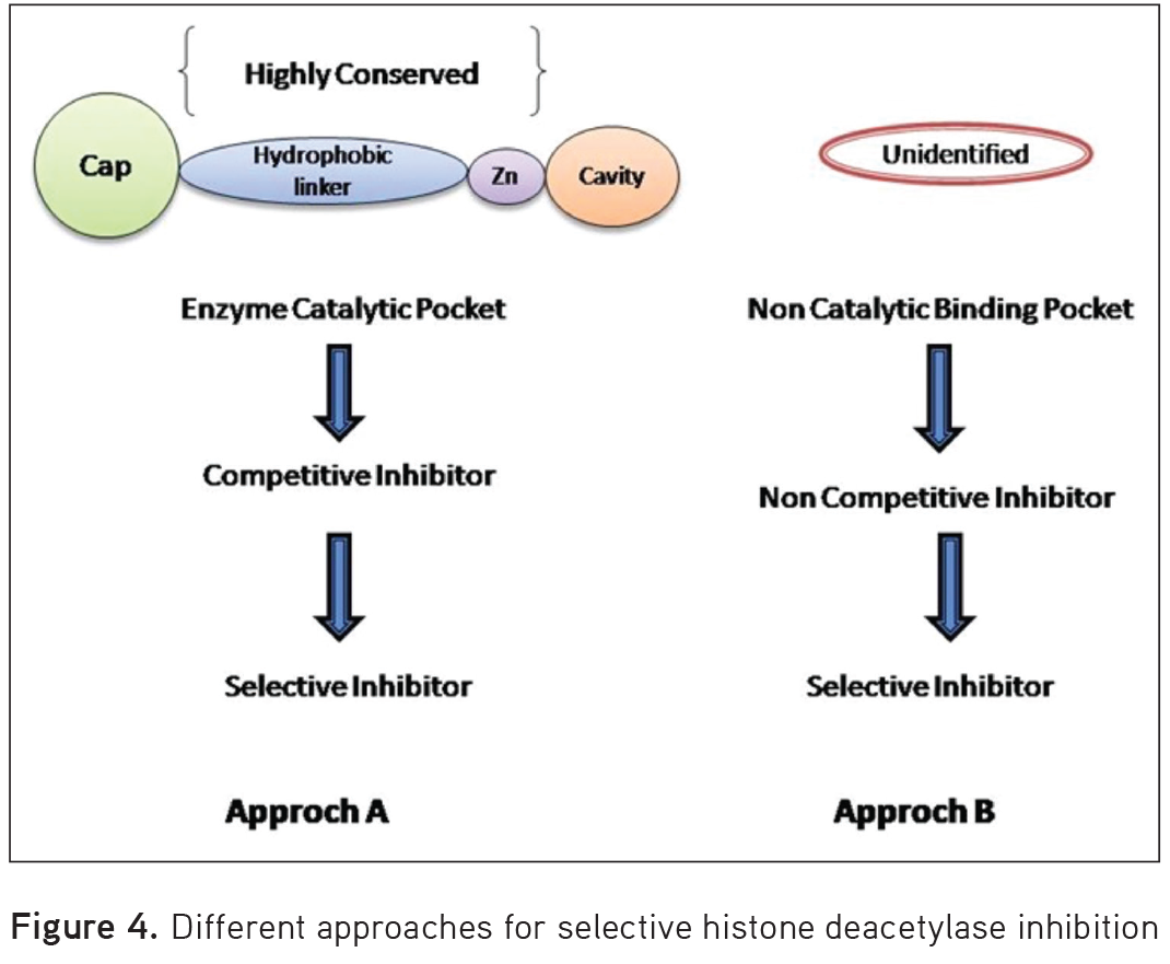 Histone Deacetylase Inhibitors: A Prospect in Drug Discovery - Turkish ...