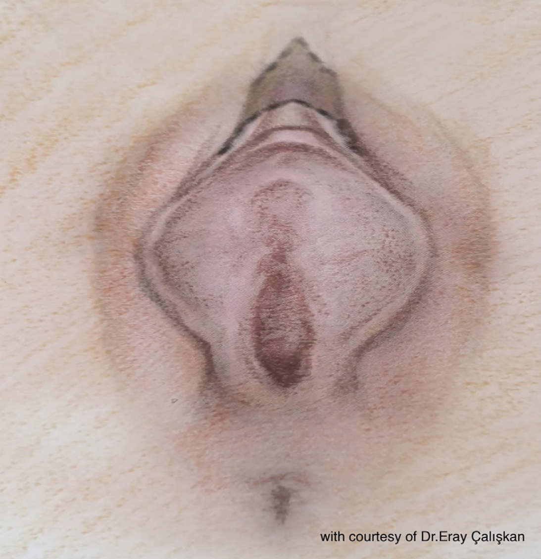 Sperma bilan uy qurilishi rus porno fotosuratlar