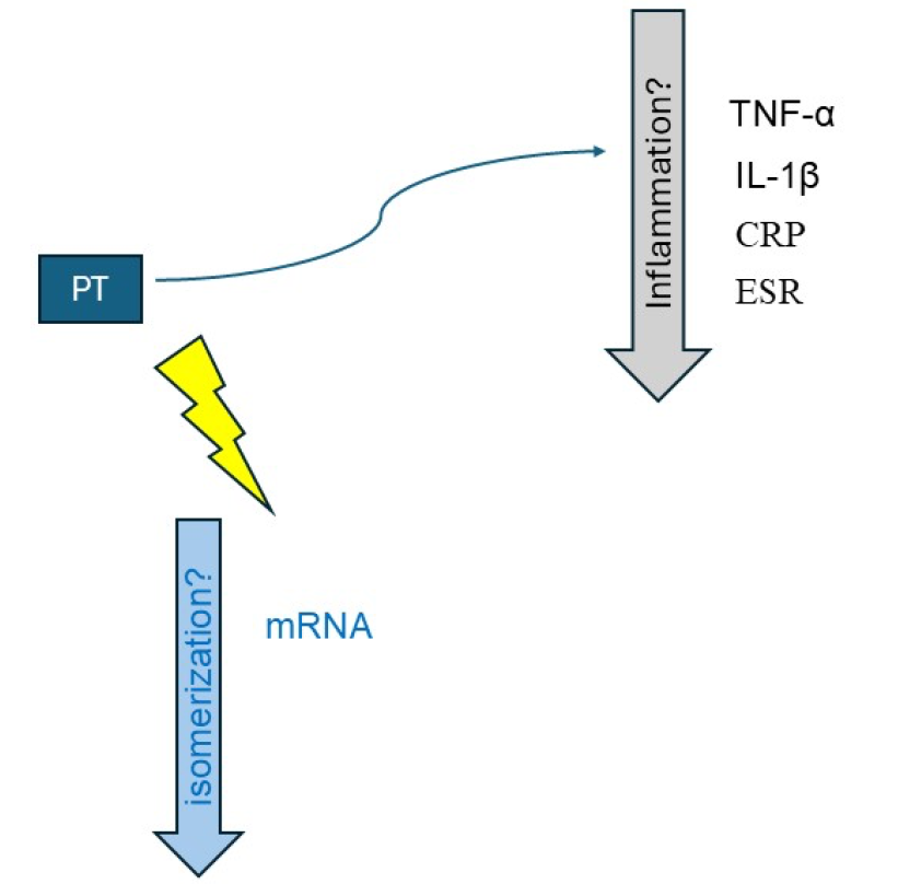 トモ しん OHLINS オーリンズ G senseオリジナルOHLINS TTX36GP ZX-4RR