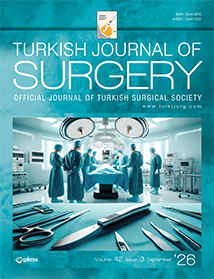 Turkish Journal of Surgery