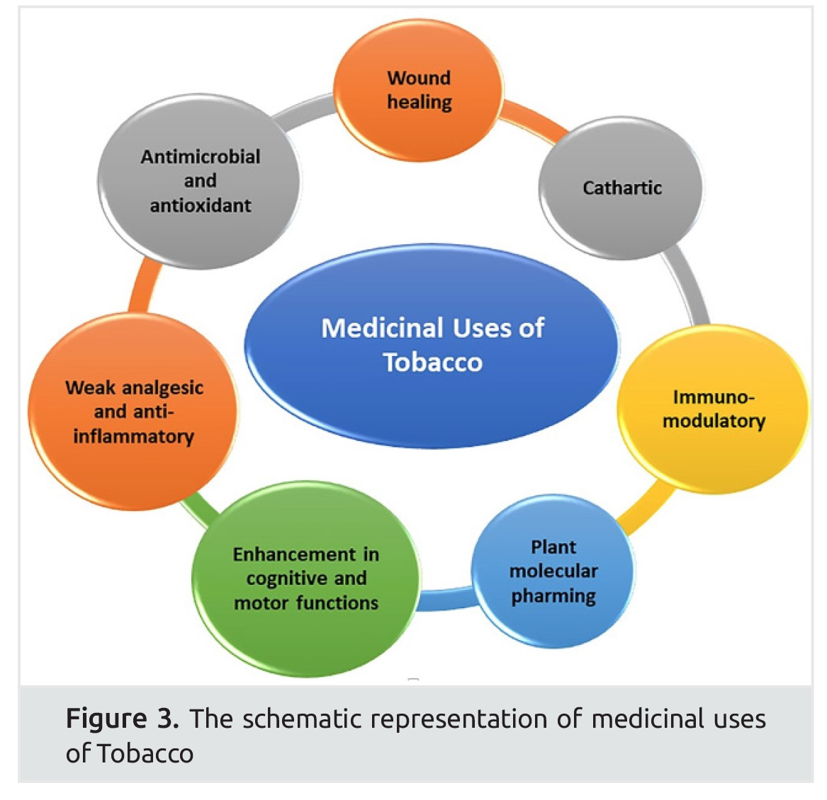 Tobacco: Its Conventional and Modern Dosage Forms in Medication