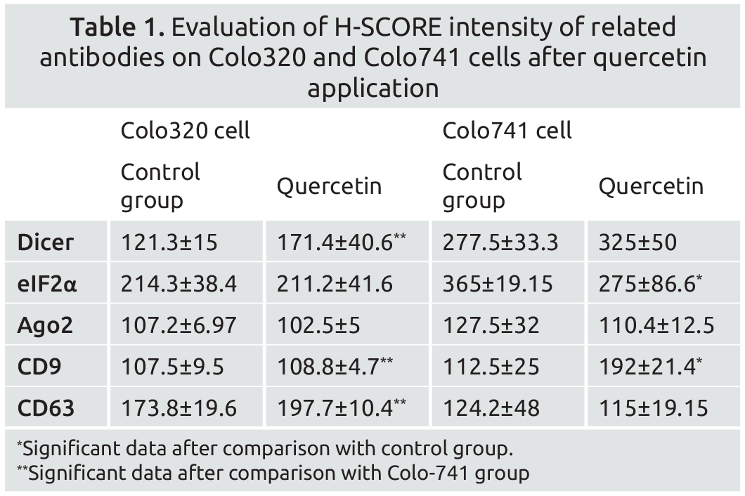 Quercetin Change the Exosome Secretion and Total miRNA Concentration in ...