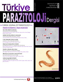 Current Issue Cover
