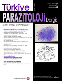 Current Issue Cover